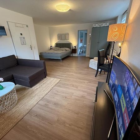 Apartment Regener Lorrach Bagian luar foto